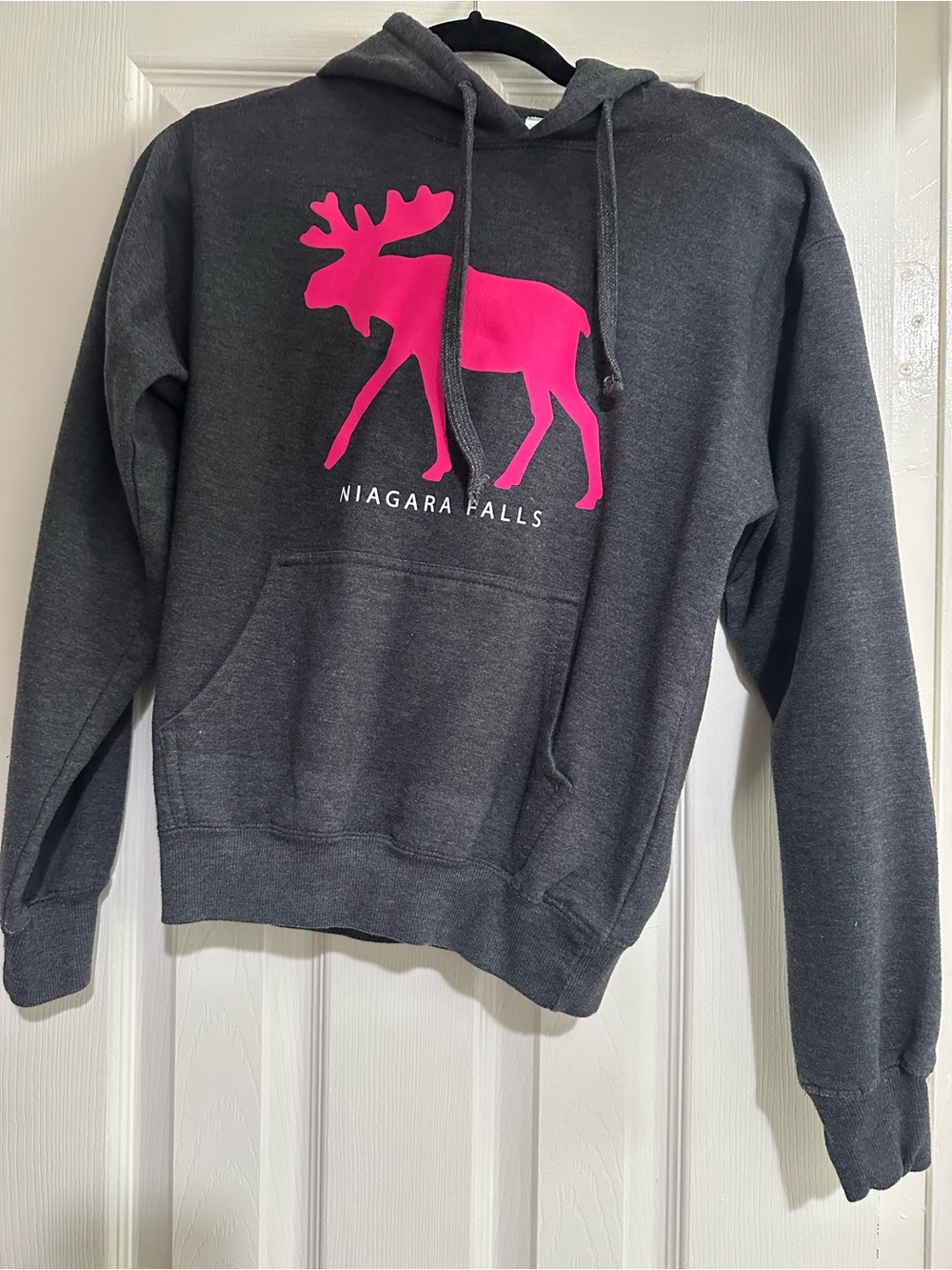 Niagara Falls Moose Hoodie - Charcoal with Pink Graphic